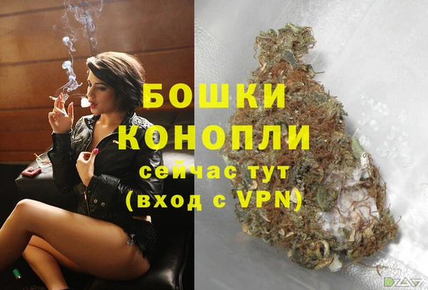 крисы Ачинск