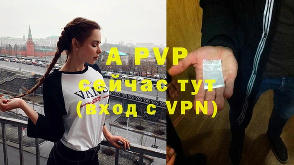 крисы Ачинск