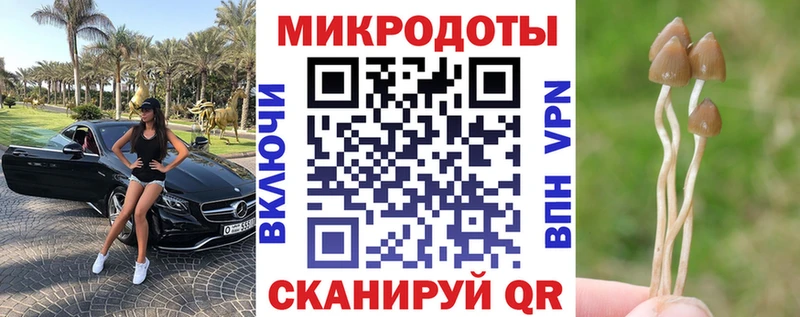 Купить закладки  Бор  Псилоцибиновые грибы GOLDEN TEACHER 